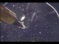 Nucleate Boiling in Microgravity