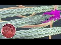 RT @DrJoshBerkowitz: Dermapen Micro Needling Treatment of Acne Scars Animation by Needlelogic.coms http://t.co/tuDJFCTp
