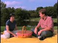 Picnic Disaster