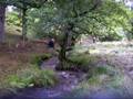 videos de Frank Jones Trial 2: Tyncoed