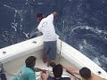 Cancun-MahiMahi
