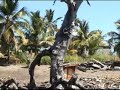 Gladden Caye Gladden Caye