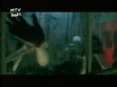 Maneater-Nelly Furtado