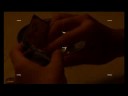 Chè Vizio! - shortmovie - cortometraggio - Salento Chè Vizio! - shortmovie - cortometraggio - Salento