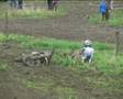 Motocross Crash Part 9