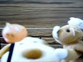 Potter Plush Pals in 