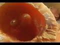 ripleys-vfx-lab-the-gift-of-sight.html