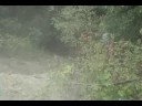 Robert Kuhn wrecking in Eldon
