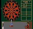 Perfect 9 darter in Magic Darts for NES