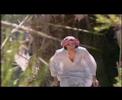zehava ben- inta omari 2006