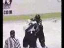 NHL Hockey Fights Best Of NHL Hockey Fights Best Of