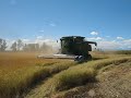 California Rice Harvest 2007