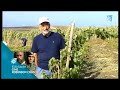 Tierra y Mar en Bodega - Almazara Ecologicas Sancha Pérez en Conil
