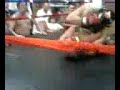 Danny Wins by Tapout