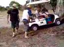 golf buggy fun 1