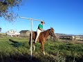 first bareback ride for Nasdaq horse