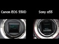 Les Numériques / Digital Versus : Canon EOS 550D vs Sony Alpha 55, comparaison du déclenchement