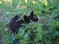 うさぎ油吉の外食02