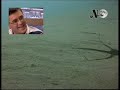 LA NOCHE DE TELEASTURIAS - (30/12/04)