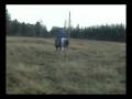 TardyBarTramp.avi