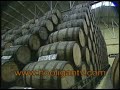 Tequila Factory Tour, Mexico
