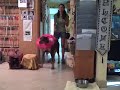 Video 3