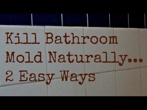 how to eliminate mold in a bathroom