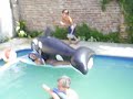 CARNA AGUA CARNA AGUA