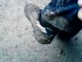 Rabias Versuch ihren Schuh sauber zu machen!!! Rabias Versuch ihren Schuh sauber zu machen!!!