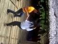 tinikLing at LoboC River