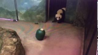 Smithsonian National Zoo