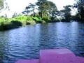 Paddle Boating
