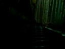 D.gray-man Musician/14th Noah on Piano