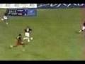 Tributo A La Vinotinto