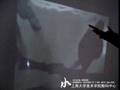 金木水火土（Interactive Art）