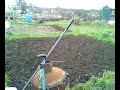 My Allotment Tilehurst Reading My Allotment Tilehurst Reading