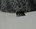 kluski medv?dinec 2006 kluski medv?dinec 2006