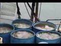 videos de descarga de anchoveta para CHD