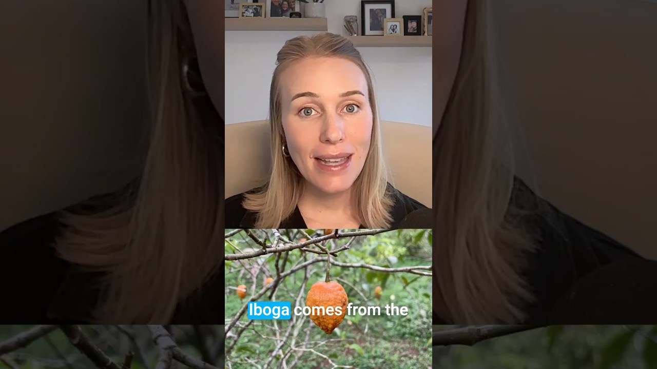 Iboga is rooted in the Bwiti tradition of Gabon 🇬🇦