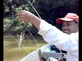 Freshwater Prawns fishing Freshwater Prawns fishing