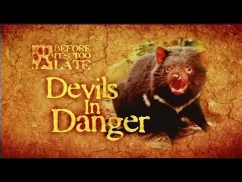 Tasmanian Devil Committed to Linux Kernel