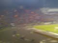 steaua-standard-lieg