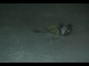 Extreme Life - Big Air Master - El Colorado