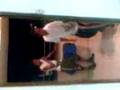 videos de Danse malgache