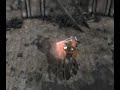 Cabal MMO MV LawnWake II