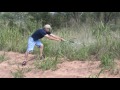 Rattlesnake hunting,Not a good idea!!!