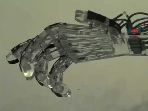 Dexterous and Gentle Robotic Hand 