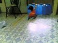 Lia walking