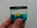 #3gsvideo | iPhoneではなく、パソコンから投稿してみる。http://www.youtube.com/watch?v=jdiFlaJB7Bs