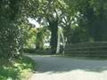 THREEKINGHAM nr. Grantham. dr18.